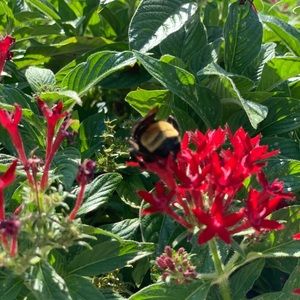 Meet your Posher, Landon